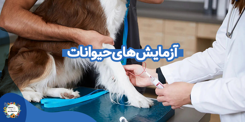 انجام امور آزمایشگاهی حیوانات