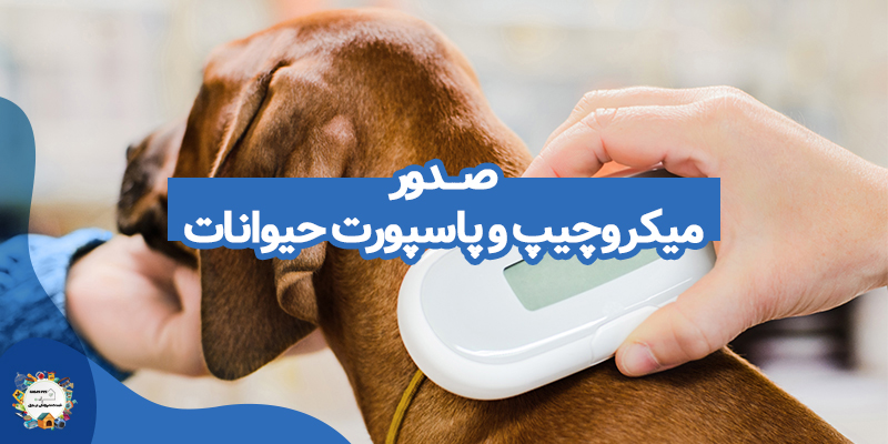 صدور میکروچیپ و پاسپورت حیوانات
