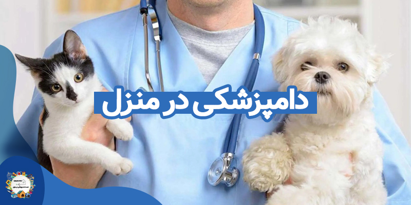 دامپزشکی در منزل