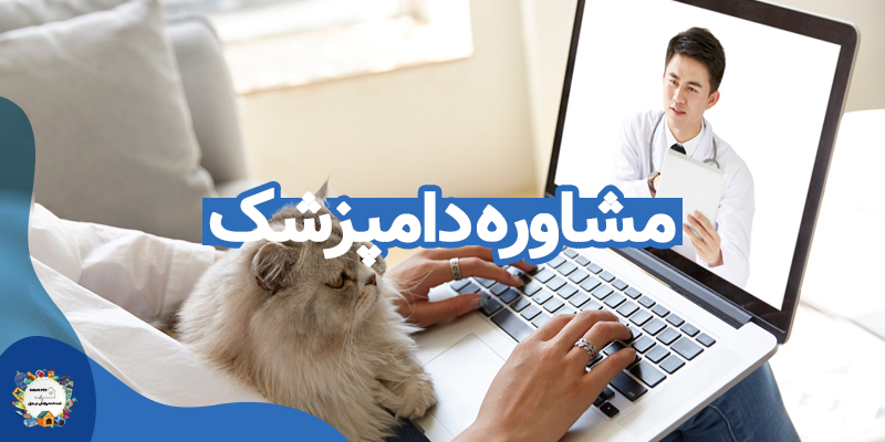 مشاوره دامپزشک