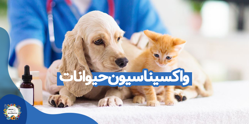 واکسیناسیون حیوانات