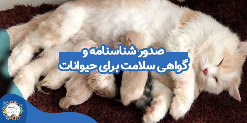 صدور شناسنامه و گواهی سلامت برای حیوانات
