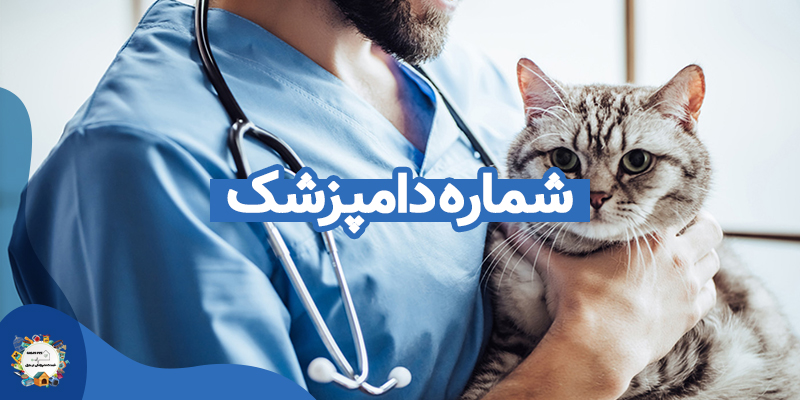 شماره دامپزشک