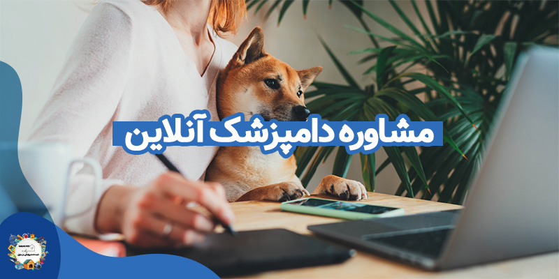 مشاوره دامپزشک آنلاین