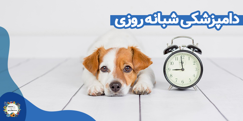 دامپزشکی شبانه روزی