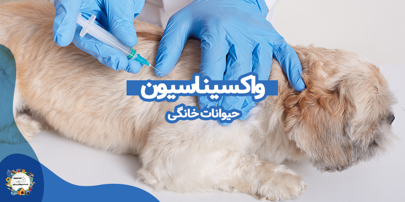 واکسیناسیون حیوانات خانگی