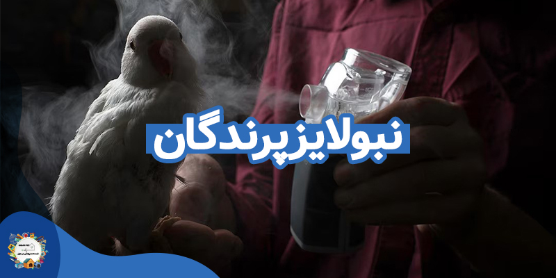 نبولایز پرندگان