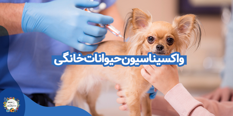 واکسیناسیون حیوانات در تهران