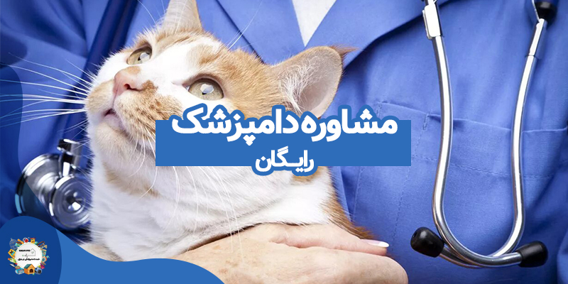 مشاوره دامپزشک رایگان