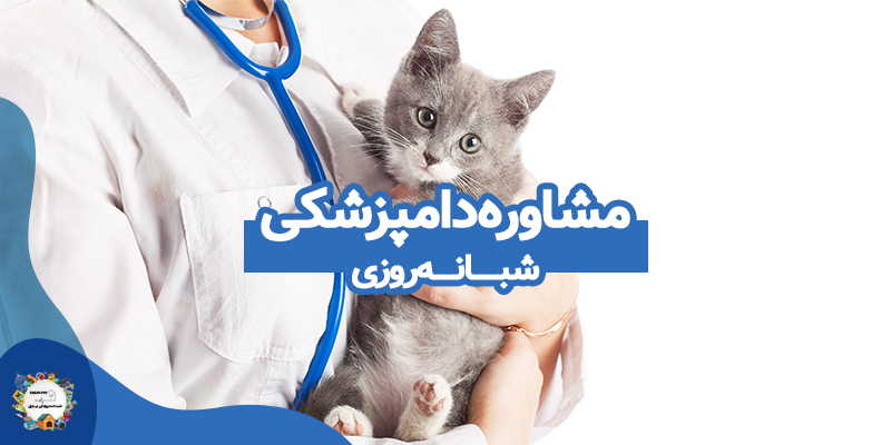 مشاوره دامپزشکی شبانه روزی